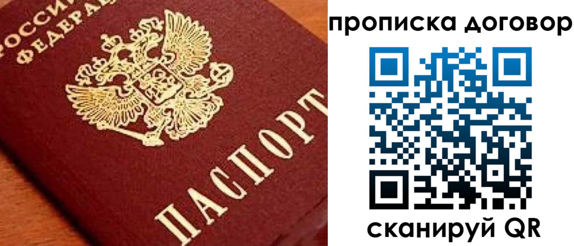 прописка поиск в Зверево